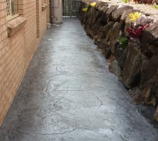 Pathways (3)